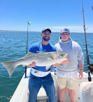 Summer bites on Cape Cod waters