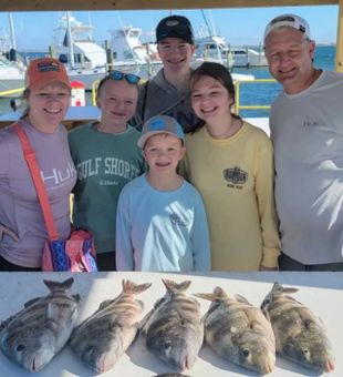 Sheepshead in Gulf Shores