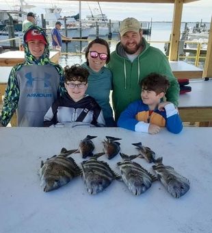 Sheepshead in Gulf Shores