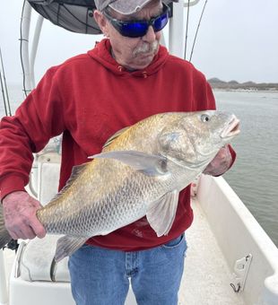 Redfish Trophy at Aransas Pass!