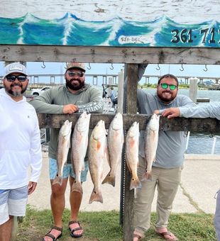 Aransas Pass redfish action never disappoints. The Texas coast keeps delivering big reds and unforgettable fights.