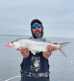 Tarpon from Saint Simons Island