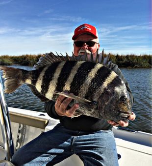 Caught This Big Sheepshead from Georgia
