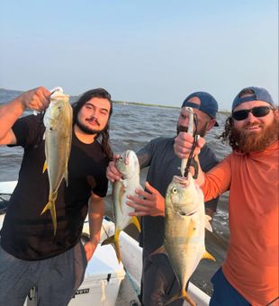 Powerful Jack Crevalle trio from the Gulf!