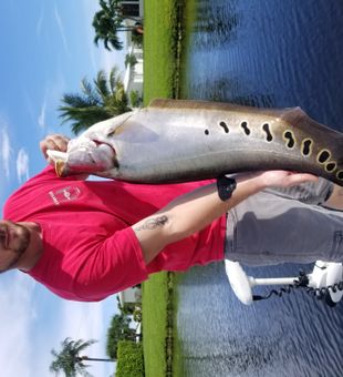 Early starts, bent rods, Boca waters