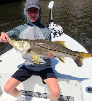 A calm morning chasing local snook.