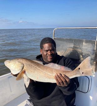 Big Apalachicola Redfish landed on calm bay waters