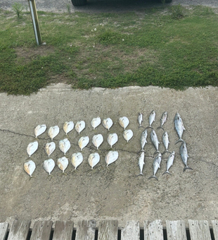 Bottom fishing done right here