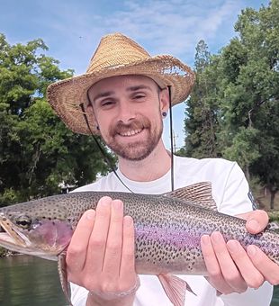 Colorful rainbow trout from the Lower Sac