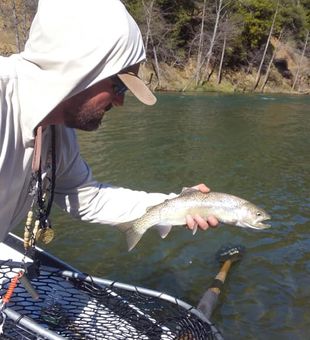 Beautiful rainbow trout on the Lower Sacramento River – exciting action!