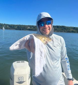 Another successful outing along the Hudson.