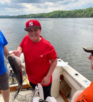 Best way to fish is in Kingston, NY