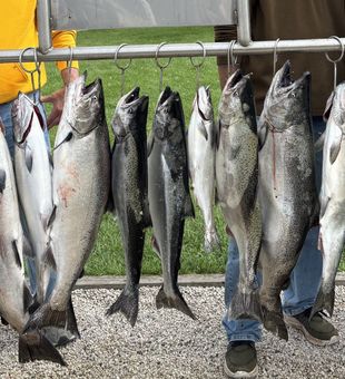 Big catch energy! Sheboygan WI fishing.