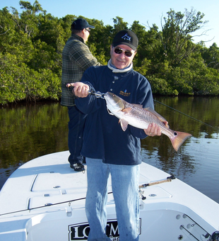Inshore Glory in Wild Florida