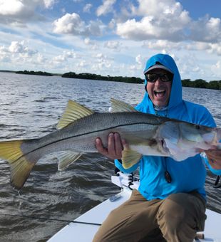 Shallow Water, Serious Snook Action