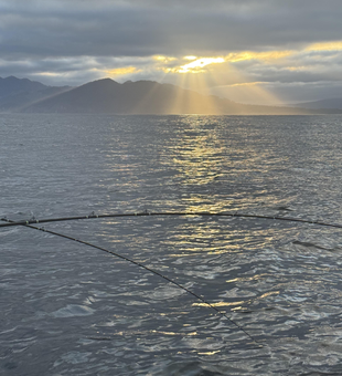 Partly cloudy skies set the stage for epic deep sea action in Garibaldi!