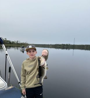 Cedar Key days, fishing ways.
