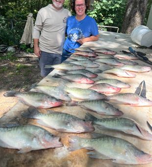 Mississippi Slab Action Today