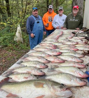 Slab season in Oakland, MS — crappie are biting and the rods are bending!