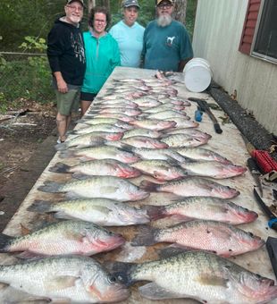 Crappie Catchin' in Mississippi