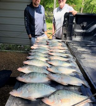 Outstanding crappie haul from Oakland MS waters!