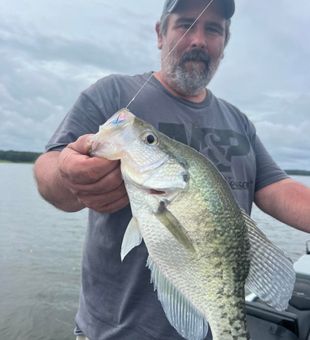 Crappie Bites Down South Style