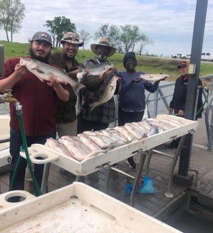 Striped bass success! #StripedBass
