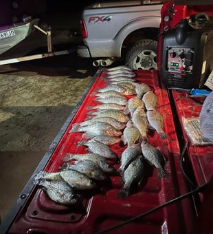 Nighttime crappie haul! 