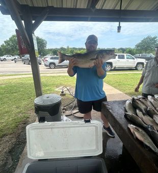 Big bites in southern Oklahoma