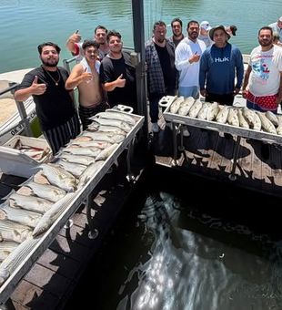 Hook into the action with a Kingston, Oklahoma fishing adventure targeting Striped Bass on the productive waters of Lake Texoma. Your next memorable catch could be just one cast away.