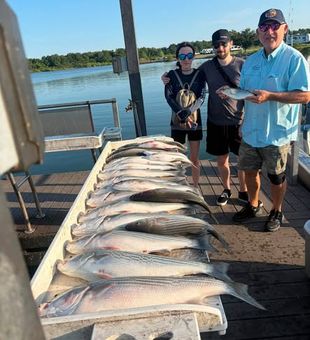 Experience the excitement of Striped Bass fishing in Kingston, OK, where Lake Texoma offers anglers the chance to chase hard-fighting fish and make unforgettable memories on the water.