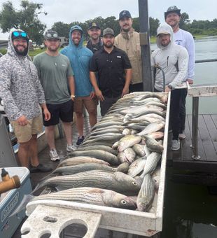Epic striped bass haul from Kingston OK waters!