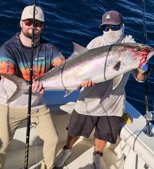 Heavy offshore Amberjack off New Smyrna Beach