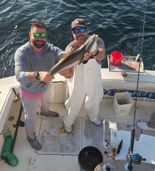 Strong offshore Kingfish catch near New Smyrna Beach