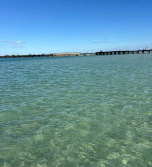 Crystal clear waters around Placida FL perfect for exploring!