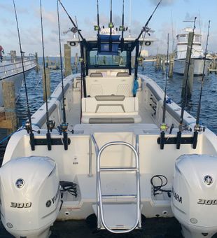 World Cat Catamaran in Pensacola, FL 