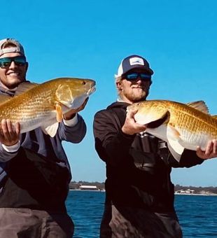 Redfish in Pensacola, FL