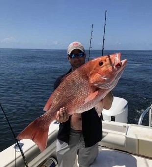 Pensacola, FL Hooked a Large Red Snapper