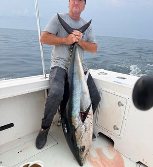 Monster bluefin tuna landed in Montauk waters!