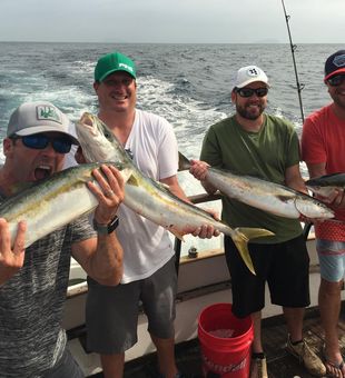 Energetic crew with solid Yellowtail