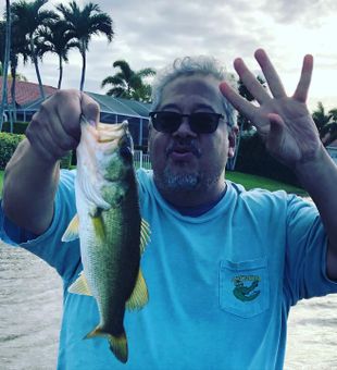 Largemouth bass fishing in Everglades