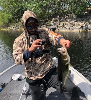 Catch and release in the wild