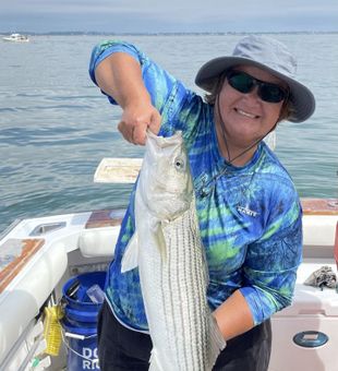 Target trophy striper bass on a Cape Cod, MA fishing charter.
