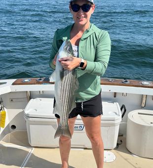 Striped Bass caught by a young Angler on september