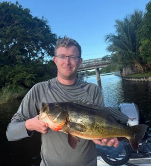 Florida peacock bass moment