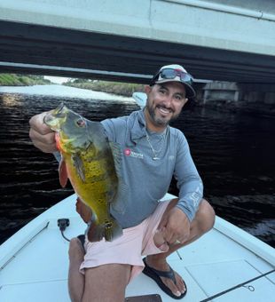 Bass that shine like jewels