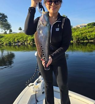 Hook into South Florida bass action with a freshwater fishing trip in Delray Beach.
