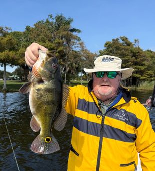 Freshwater fishing in Delray Beach featuring hard-fighting Peacock Bass.