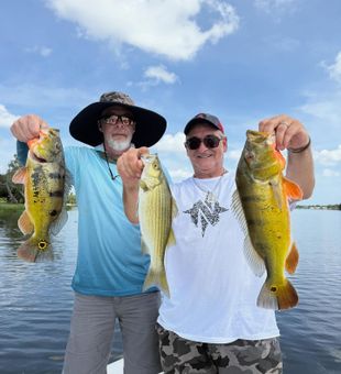 Bright colors, big bass days