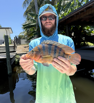 Big Mexican Mojarra reeled in using light tackle at Lake Ida!